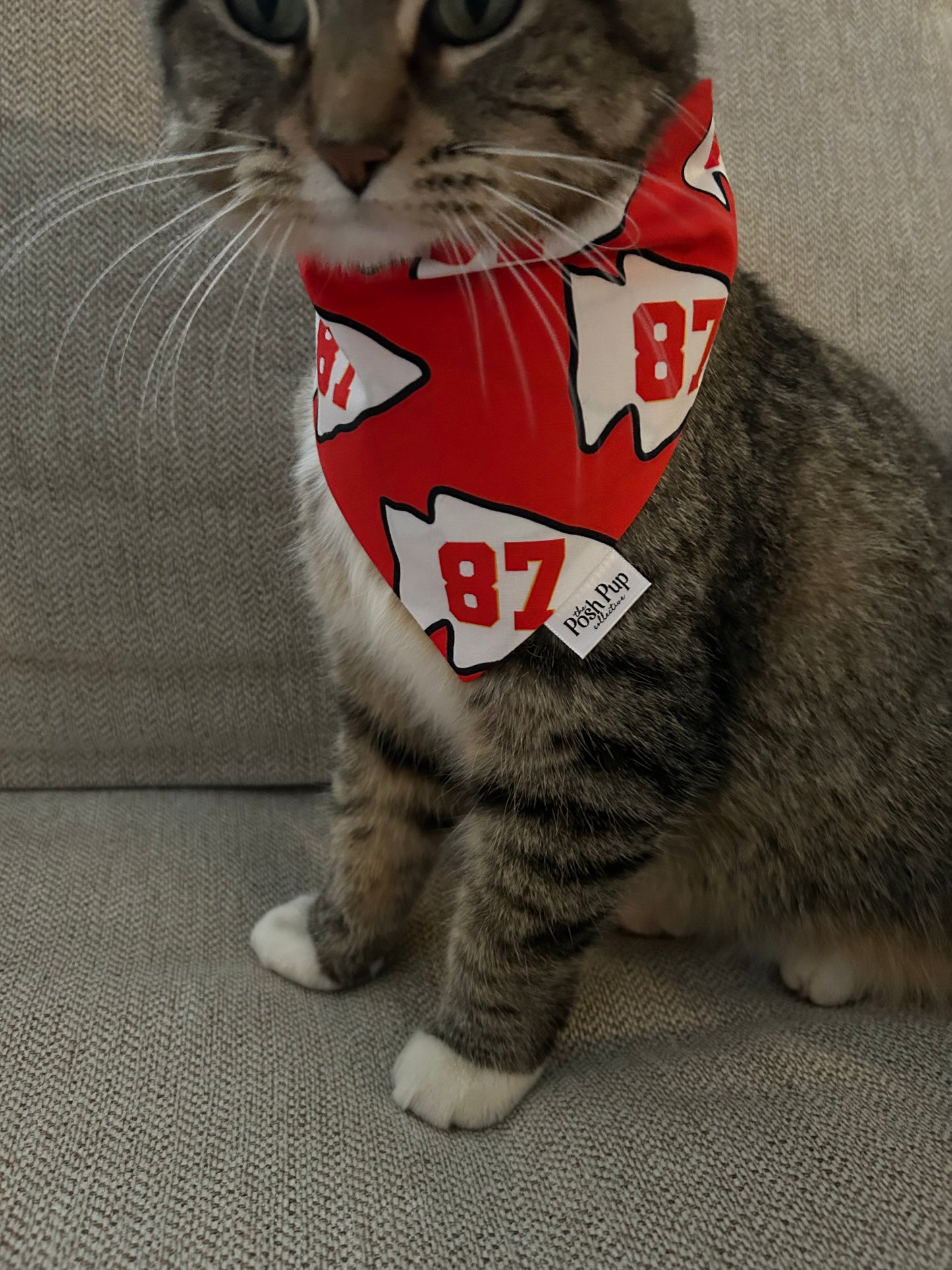 Pet Bandana: Red 87