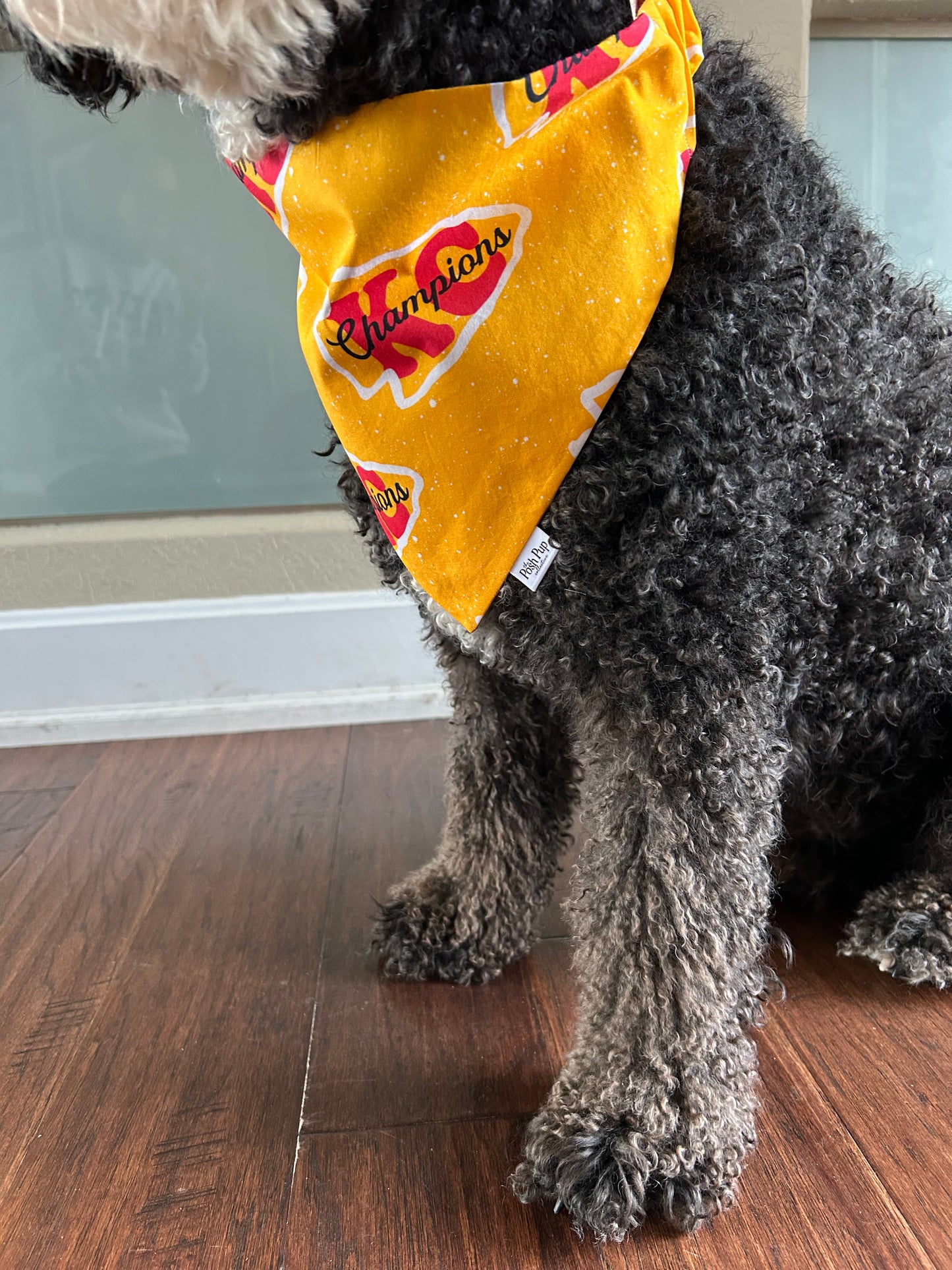 Pet Bandana: Champions