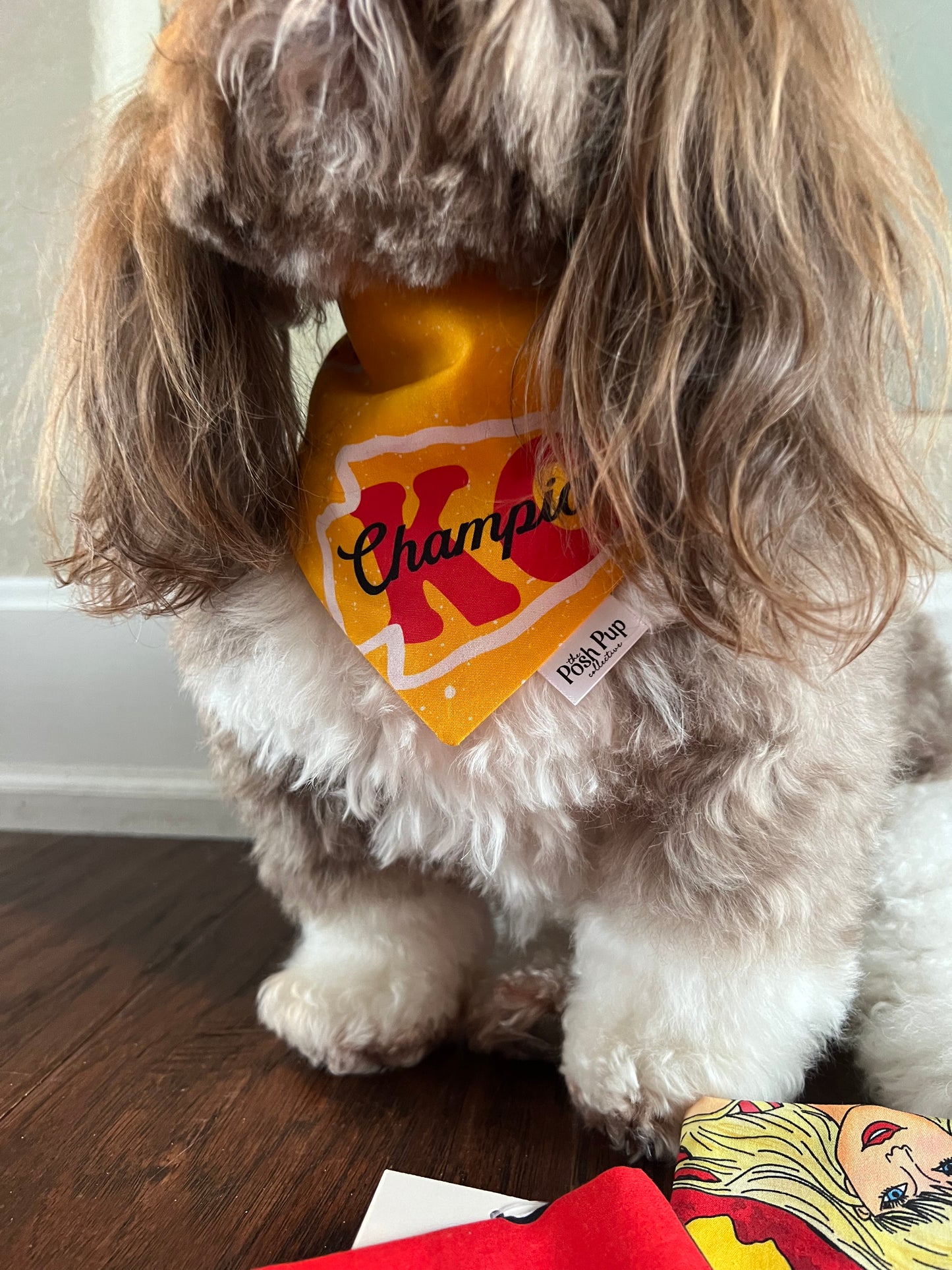 Pet Bandana: Champions