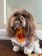 Pet Bandana: Champions